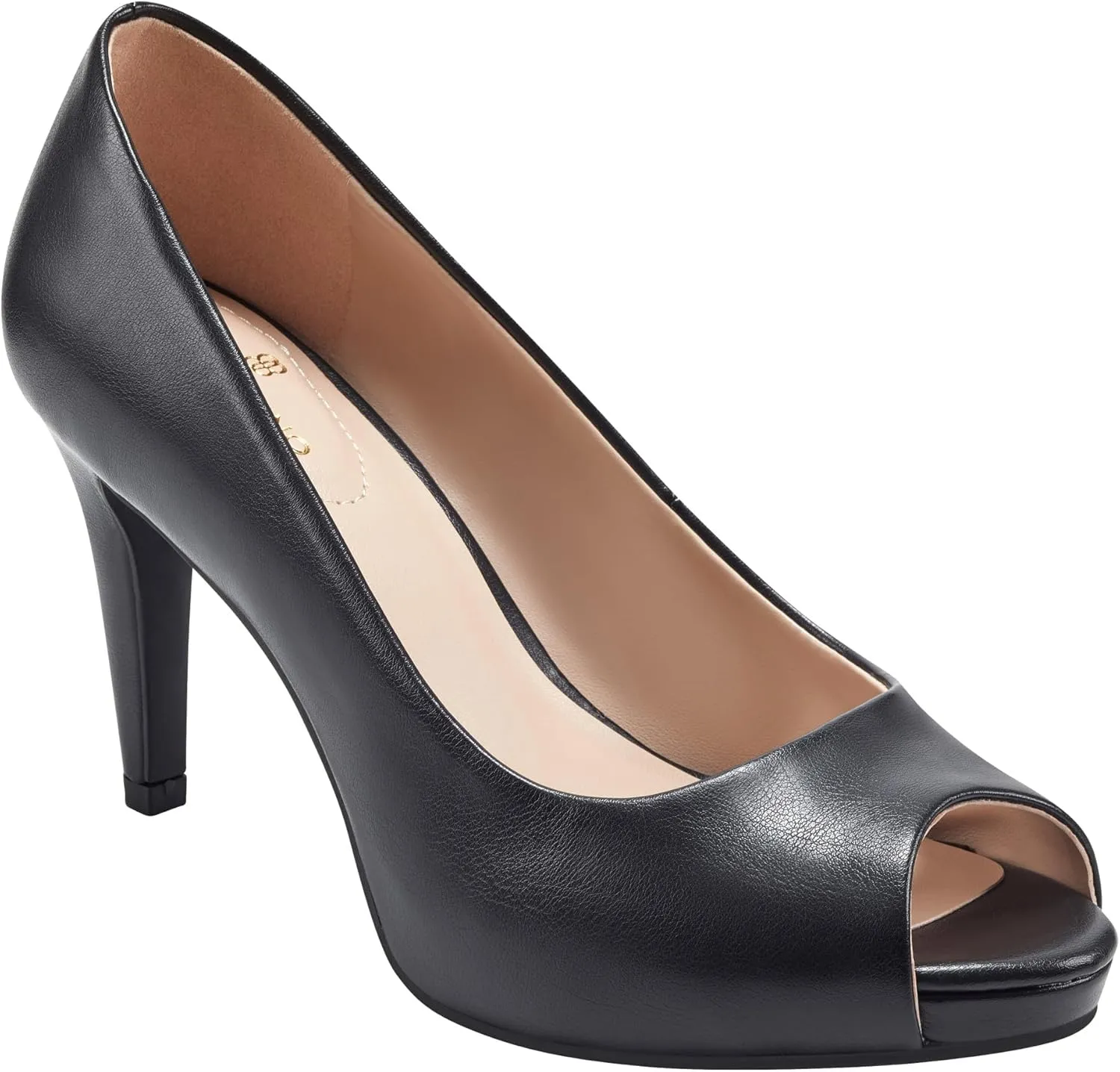 Bandolino Women's RAINAA Pump, Black 001, 12