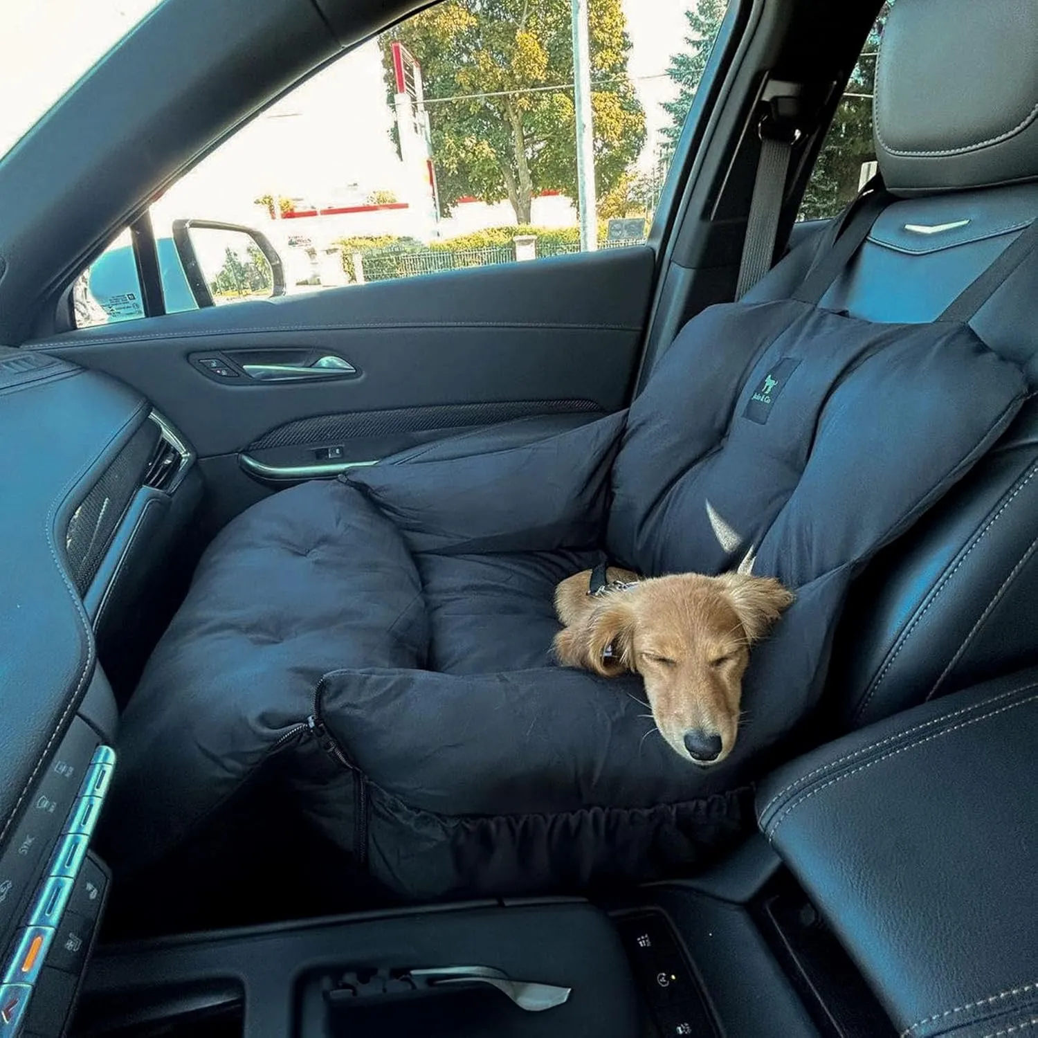 JACKO & CO Premium Dog Car Seat & Booster Seat for Small & Medium Pets Under 30lbs, Puppies, Cats/Travel Carrier Bed & Bag, Clip-On Leash & Storage Pockets, Water Resistant (Black/Small (1-30lbs))