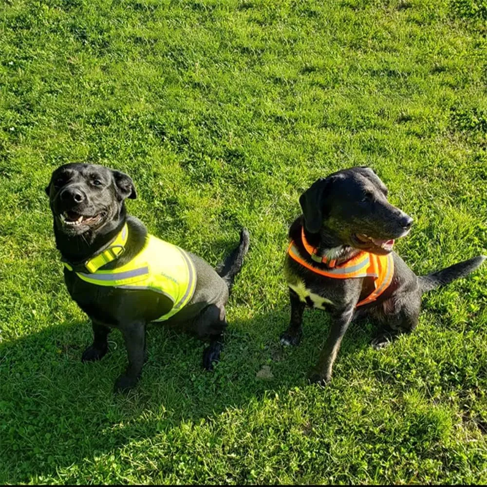 Lite Dog Vest. Coverage to Mid Back. Reflective Hi Visibility Blaze Orange Fluorescent Fabric Helps to Keep Them in Sight and Safe On and Off Leash. X-Small