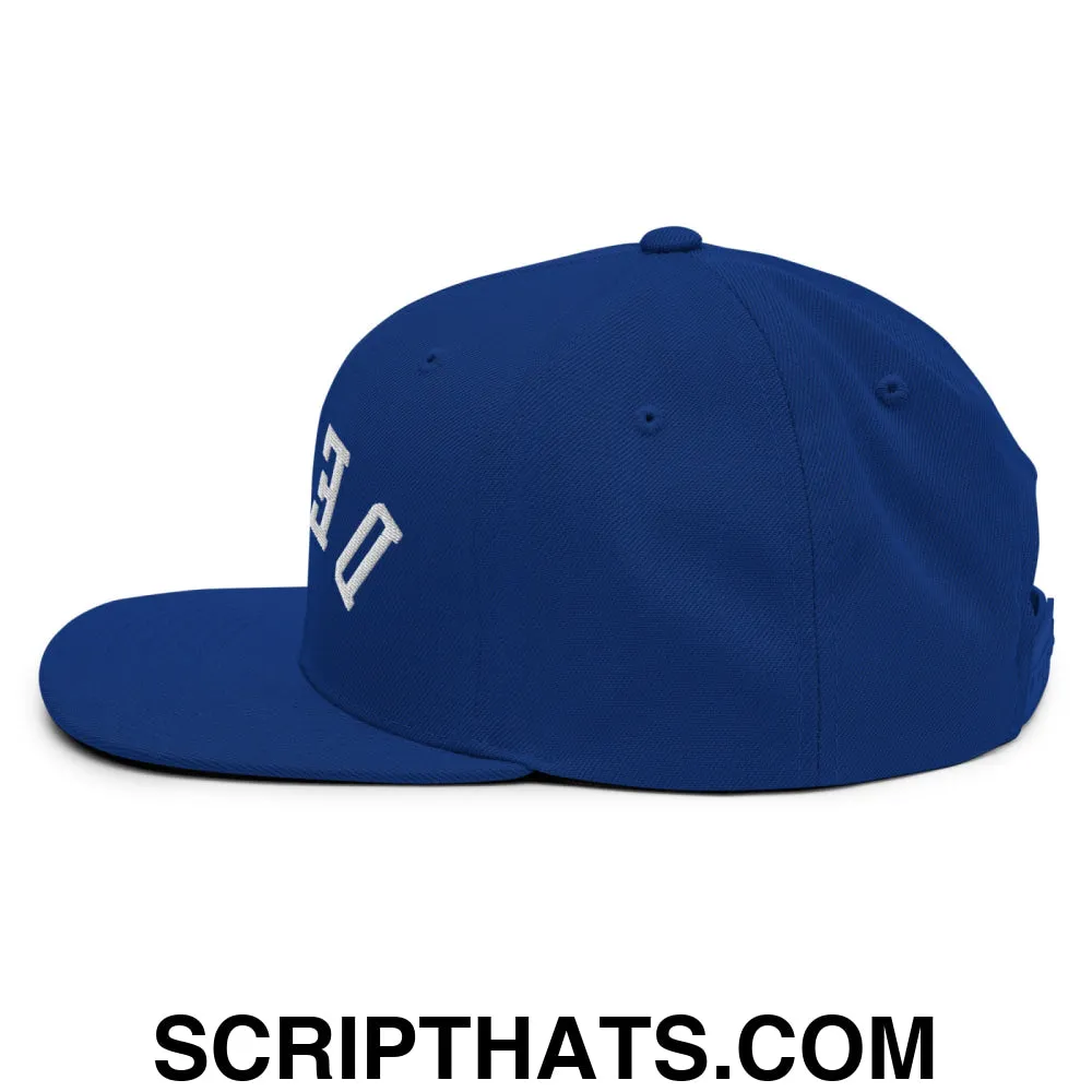 Upside Down Derby Embroidered Flat Bill Brim Snapback Hat